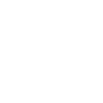 Feather Icon