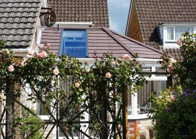 Victorian DIY Conservatory Behind Plants