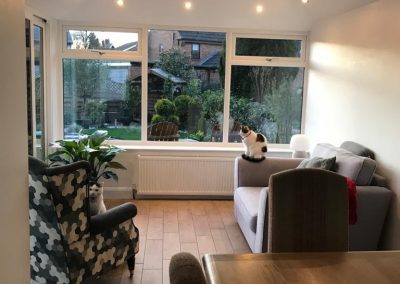 Cats Sitting in a DIY Conservatory